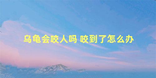 乌龟会咬人吗 咬到了怎么办
